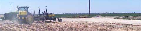 2003 wheat field,