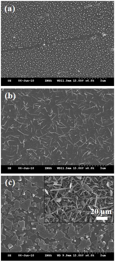 2013 S 2 Fig. S1. SEM image of the products synthesized at (a) 1000, (b) 1200, and (c) 1400 C.