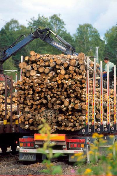 Finnish forest-based industry needs birch now and also in the future both domestic and imported wood 11 The chemical pulp industry use of hardwood roundwood was 12.