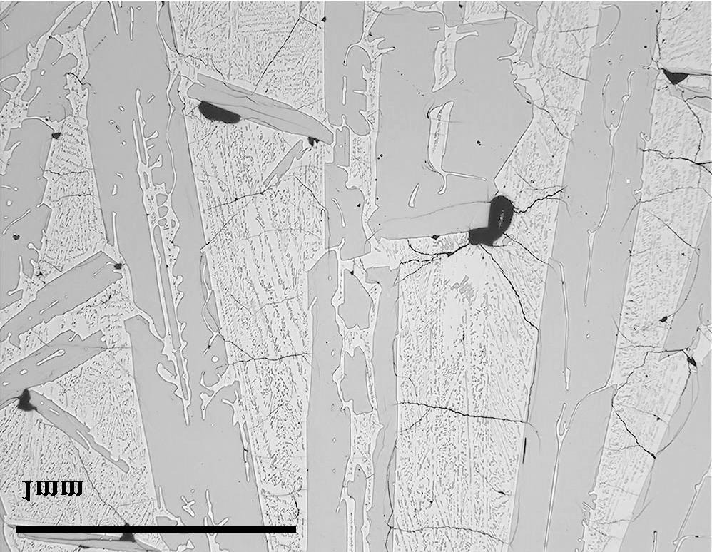 Significantly more cracks can be observed in a sample where the primary silicon grains are highly branched or in high number and randomly oriented.