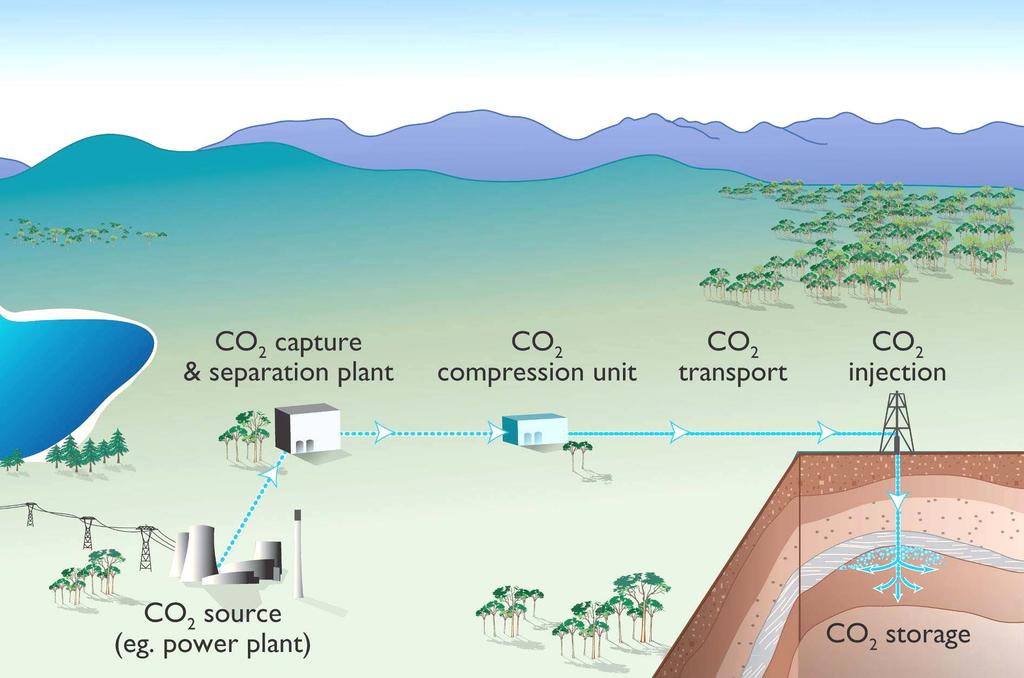 What is carbon capture and
