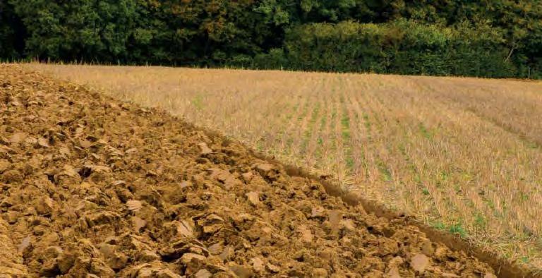 RESEARCH - What we don t know: How can soil health help manage greenhouse gases?