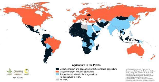 The global framework: Agriculture &