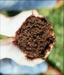 Appendix C. Soil Compost Amendment C.1 Description Soil restoration is a practice applied after construction, to deeply till compacted soils and restore their porosity by amending them with compost.