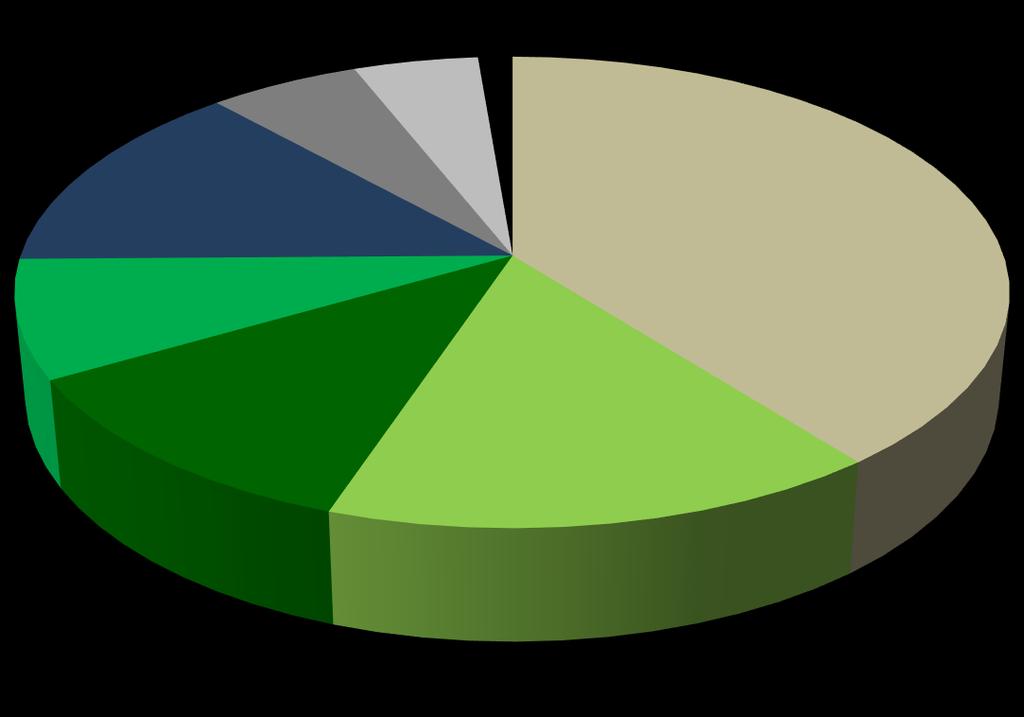 BRAZILIAN ENERGY MATRIX (2014) Renewable sources: 39.4% Other, non-renewables 0.