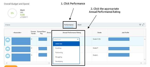 STEP 1: Enter the Annual Performance Rating Enter the Annual Performance Rating On the Performance tab, select the Annual Performance Rating (required) from the dropdown.