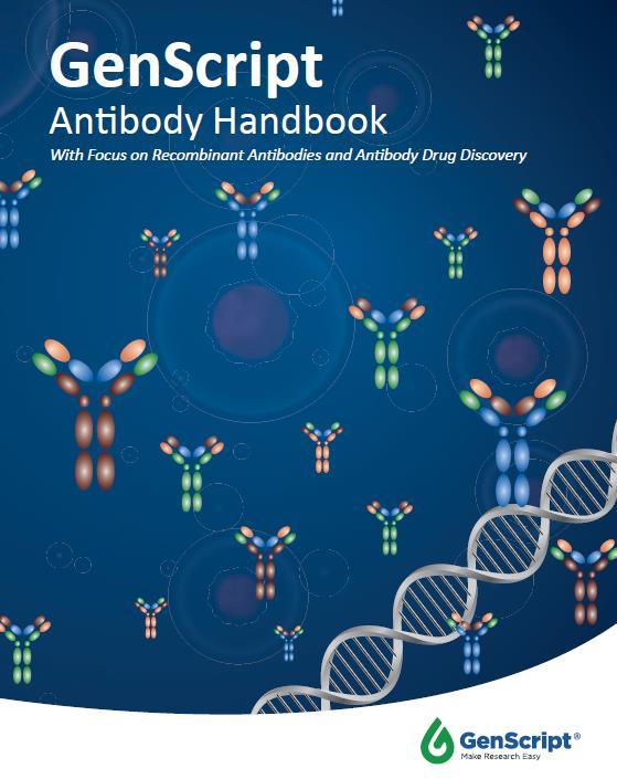 Antibody Handbook Topics include Antibody structure, isotypes and formats Antibody fragments and advantages Antibody drug discovery process Humanization and