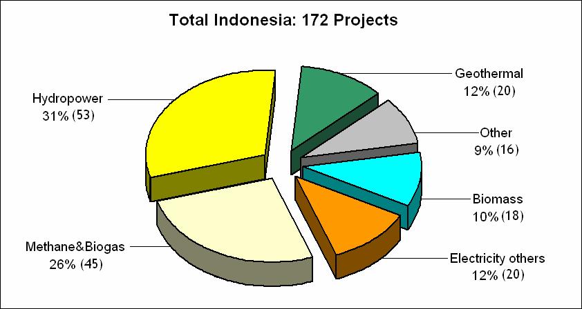 registered CDM projects from Indonesia is still very little compared to those of other developing countries like China (1,433 projects) and India (674 projects).