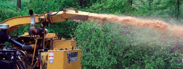 The openings into Bandit whole tree chippers are large, another reason why they chip whole trees so well.