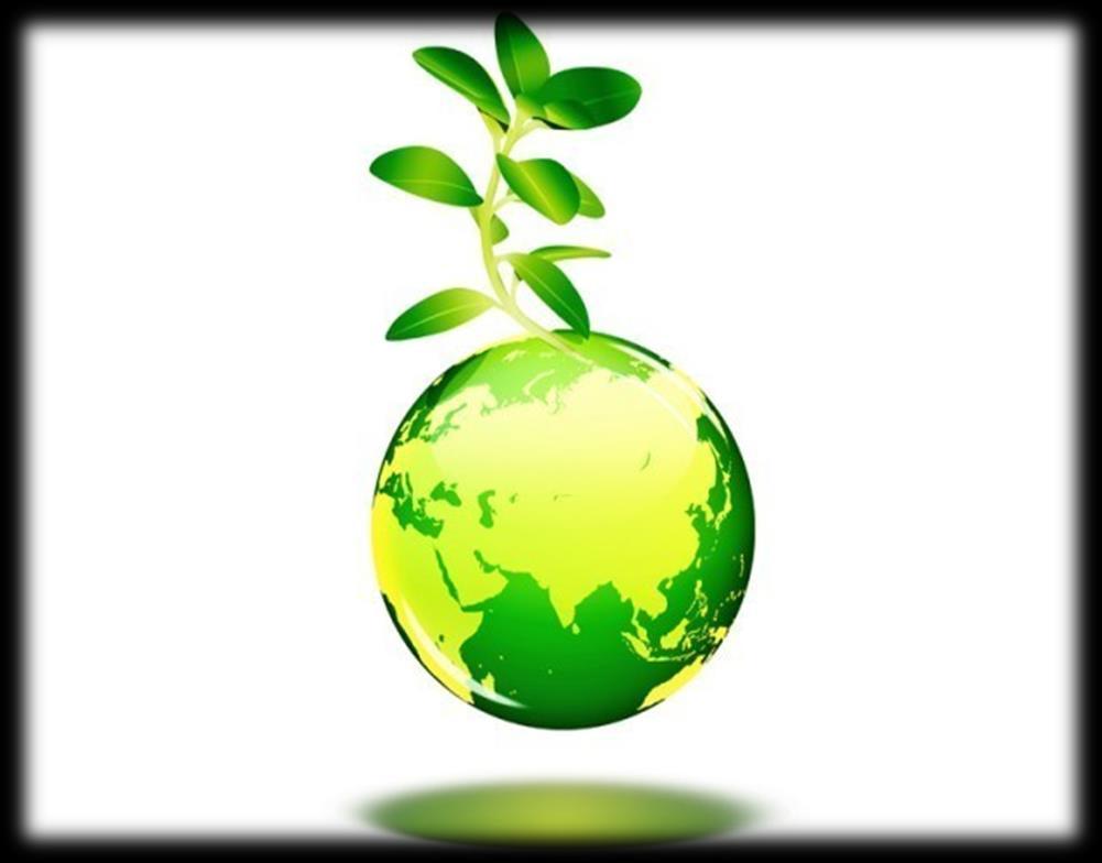 ENVIRONMENTAL PROTECTION GentliT s Green Competitive Advantage includes R&D ERP designs which help