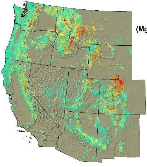 Western US Tree mortality from fire, beetles, and