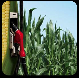FIRST GENERATION BIOFUELS - corn feedstocks derived to produce ethanol - consumed as E10 in the US, 10% ethanol / 90% gasoline blend - soybean feedstocks used to produce biodiesel - blend of up to 5%