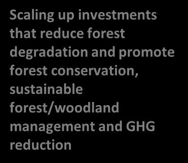 credible baseline definition, reliable MRV system development at all levels and, stakeholder outreach and consultations Investments in sustainable forest and woodland management targeted at achieving