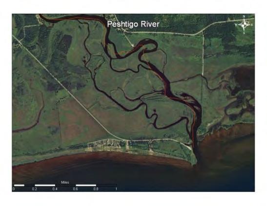 Restoration: medium rivers You get vegetated watersheds or intact