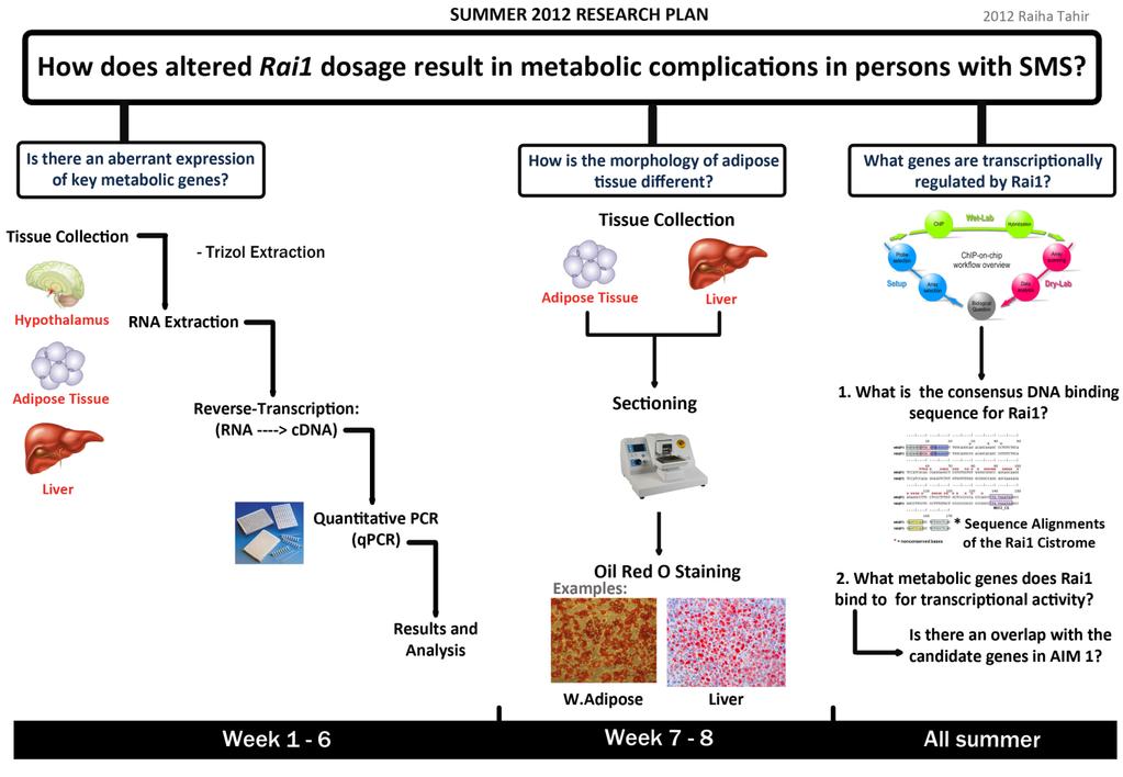 and diabetes, suggesting a more complicated mechanism of pathogenesis.