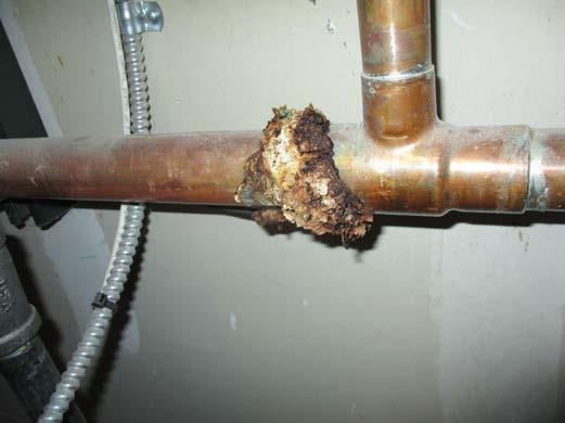 This condition would indicate that long term exposure to moisture has occurred. This exposure may have damaged the boiler.