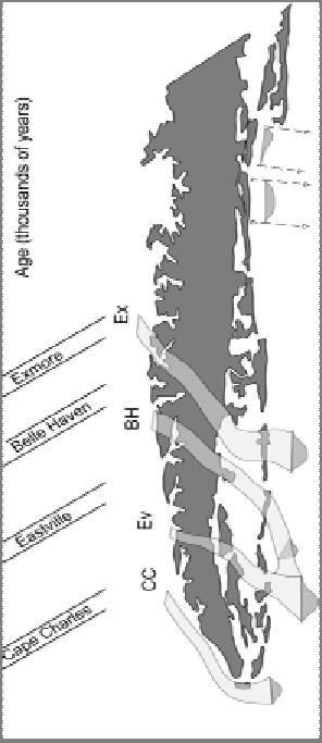 paleochannels. Two major channels are present onshore the Exmore channel to the north and the Eastville channel to the south.
