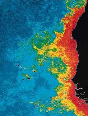Effect of Coastal UPWELLING This explains why upwelling areas are