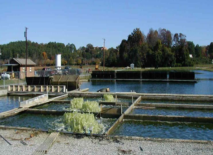Clemson Partitioned Aquaculture (PAS) 89-08 zero-discharge green-water aquaculture from 5,000 to