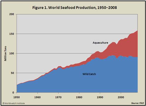 2 billion lbs/yr shrimp imported to U.S. from Asia; 85% of U.S. consumption.