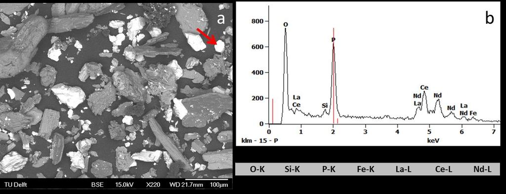 Residue analysis: SEM/EDS REE particles maintain the same approximate