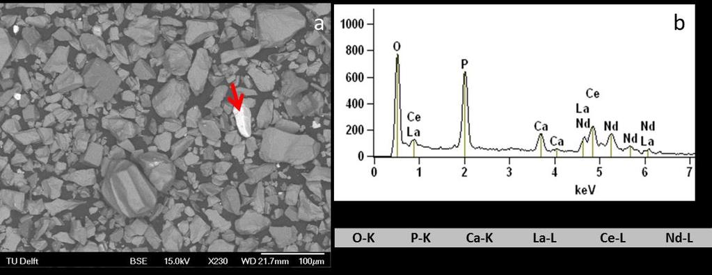Characterization of the upgraded tailings Main minerals: (Fluor)Apatite