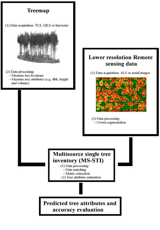 The prediction of single-tree biomass, logging recoveries and quality attributes with laser scanning techniques Automatic processing of Terrestrial Laser Scanning (TLS) data was demonstrated to be
