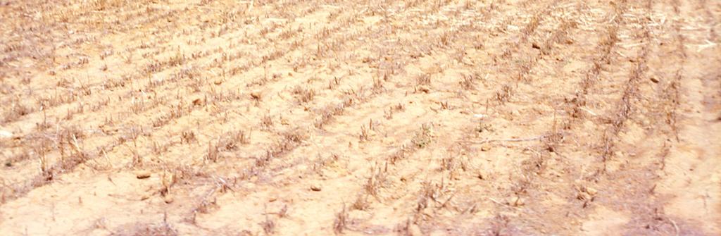 Application of chemicals a) Land preparation: Land preparation including post harvest tillage influence intake of water, obstruction to surface flow and consequently the rate of erosion.