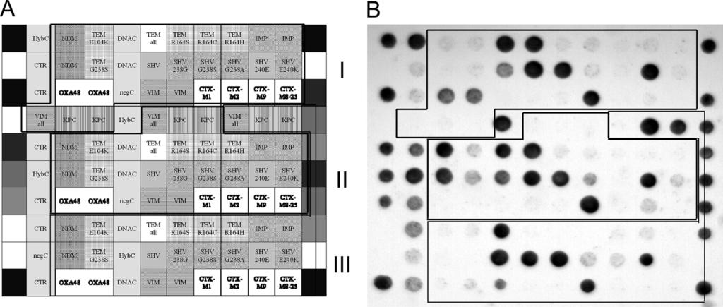 1612 NOTES J. CLIN. MICROBIOL. FIG. 1. Typical DNA microarray pictures obtained with the Check-MDR CT102 microarray setup.