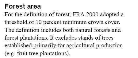 What is a forest?