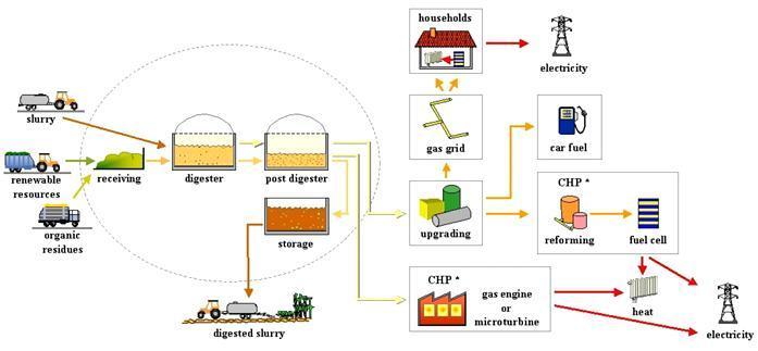 Schematic of an agricultural co-digestion biogas