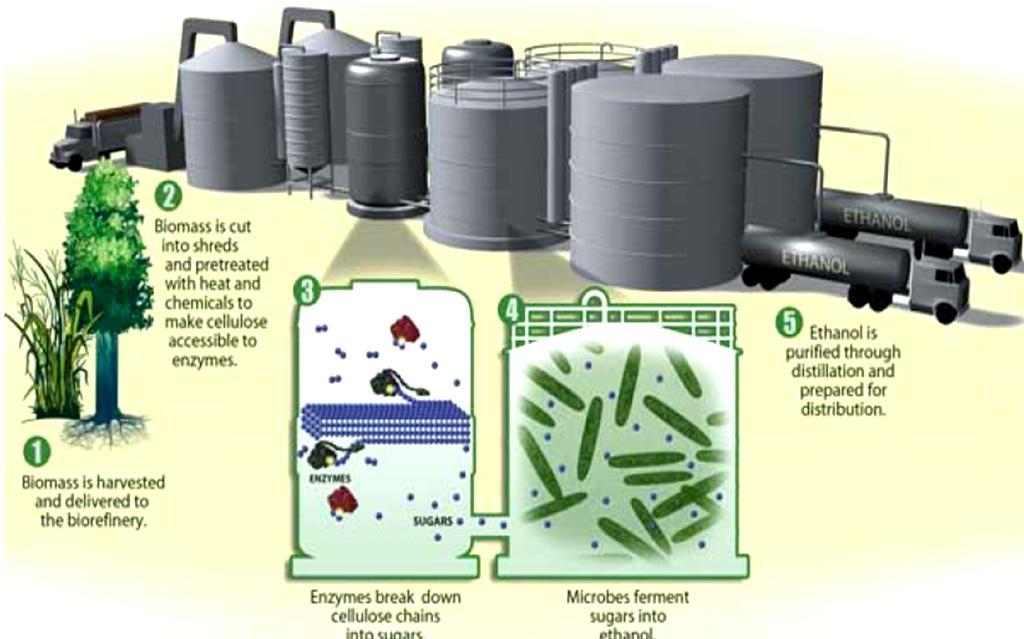 Production of Ethanol