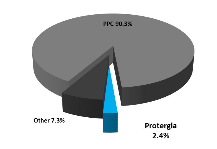 Protergia shows high growth momentum Current Market Share IPP Share Breakdown Source: IPTO, Company Information.