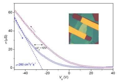 Supplementary Figure 2 The hysteresis effects in the BN-BP-BN heterostructure without annealing.
