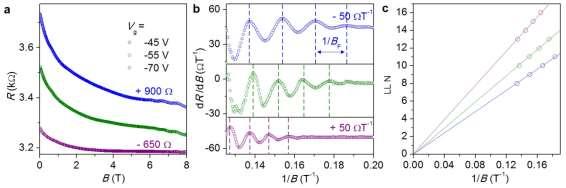 Supplementary Figure 8 SdH oscillations in the 15nm-BP heterostructure.