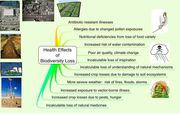 Impacts of Biodiversity Loss Properties of Communities, cont. 3.