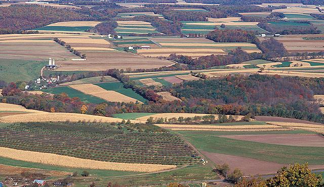 EVALUATION OF CURRENT AGRICULTURE SECTOR Virginia Agriculture Agriculture is Virginia s largest and oldest industry; it has been the backbone of the state economy for almost four centuries.
