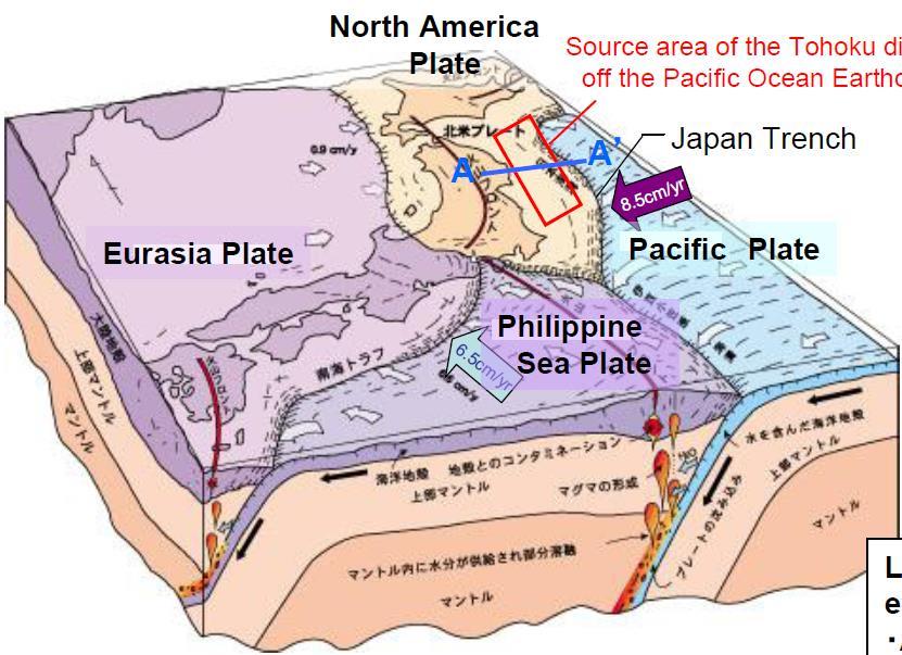 7km in depth Reverse fault type near the Japan Trench Source area of the earthquake Japan Trench 4 Onagawa NPS Fukushima- Daiichi and Daiichi
