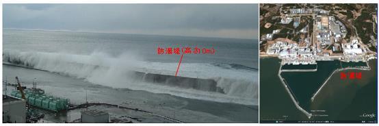 Seawall height: 10 m Seawall (height: 10m) Tokai Daini: Seawall Seawater pumps were not