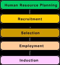 Other factors also affect the selection of staff. These include the organisational culture and the cost of recruitment.