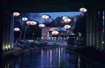 Glowing fish along the