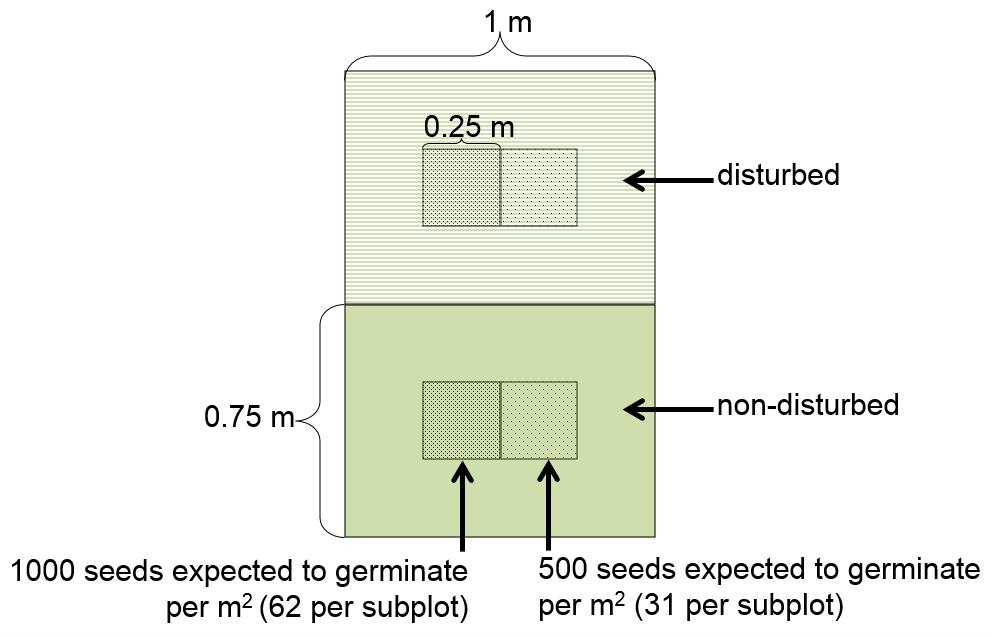 Figure 2-1. Treatment plot dimensions and possible randomly assigned disturbance treatments within whole plots (1 x 1.5 m) is shown.