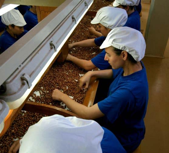 global almond grower #1 focused supplier of cocoa beans and cocoa