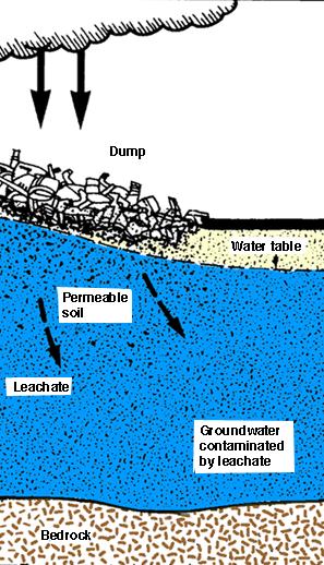 - Some of these local aquifers contain such metals as dissolved uranium and selenium. - Arsenic is a major contaminant in South Texas in many local aquifers.