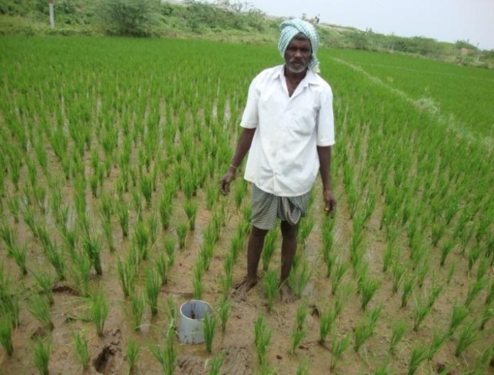 climate-smart rice farming system, system level irrigation water control through close coordination among farmers, irrigation authorities and local governments is essential requires