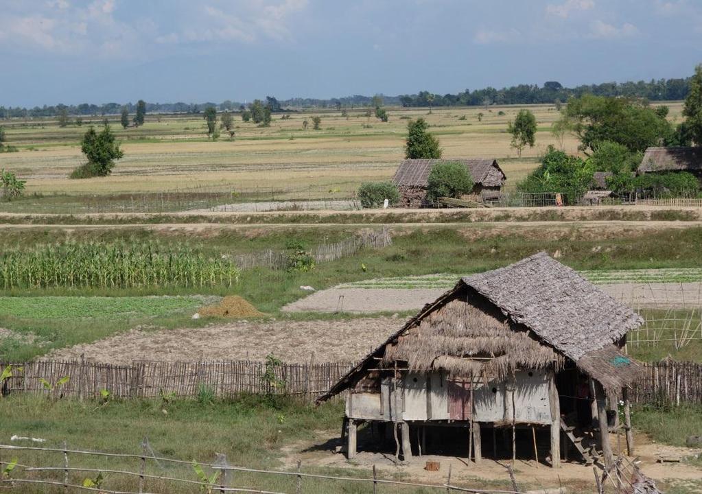 Agriculture in Myanmar 66% of the population are rural/ 75% of them live on agriculture Agriculture 43% of GDP (2011) 3 main agro-ecological regions : Central dry