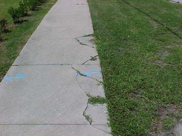 Sidewalk cracking.