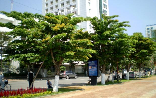 Low-Carbon measures in Da Nang reen building mplete feasibility study report for the pilot project