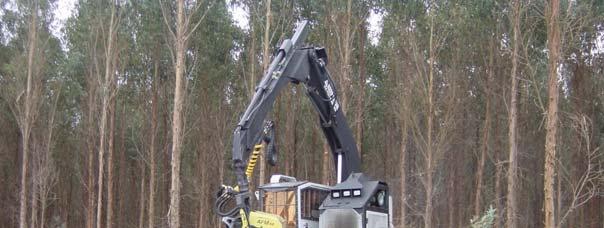 Picture 3.3 Excavator-based single grip harvester Picture 3.