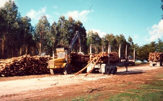 4.3.3 Road Log Haulage Configurations of trucks for the haulage of hardwood cut-to-length logs are, in essence, equivalent to those currently used in the softwood industry.